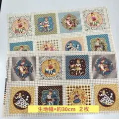 チアリーデイズ　ココセキ　パネル柄 綿シーチング　２枚