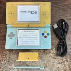 ☆充電器付き☆Nintendo ニンテンドーDS Lite カスタムカラー