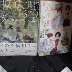 商業 BL 新刊 含 組み換え可能　嘘つきたちの朝食