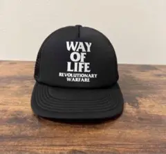 Item thumbnail for item a33d5e9d-1e23-44d9-aa34-cd14f7cee2b8