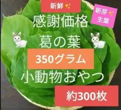 Item thumbnail for item 21e22a66-8ab5-4c6a-a598-32dd87f0e058