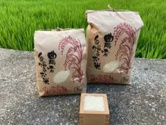 R3さかなさん専用です!