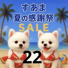 ✨夏の感謝祭セール✨パネル【Ｎｏ．22】