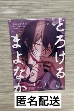 真夜中の俺を見て2 アニメイト　小冊子