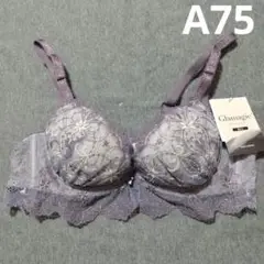 Item thumbnail for item 3d3e8f5f-edd3-4d4a-bab3-351e07c11b5b