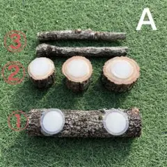 天然クヌギセット 円型エサ台 登り木 カブトムシ クワガタ
