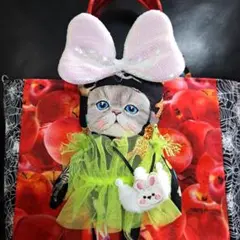 コヤンイサムチョン♥️ルミのハロウィンまで待てないバッグ