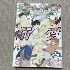オオカミパパに溺愛されています
