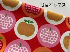 2m　りんご　フルーツinフルーツ　オックス　生地　林檎　レッド　272