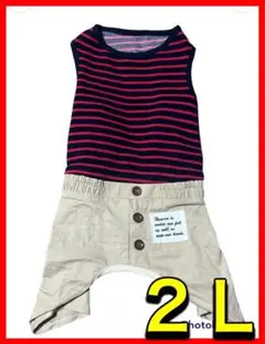 【明日再出品】犬 洋服 2L