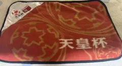 天皇杯　サッカー　オリジナルミニブランケット