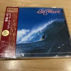 ビッグ・ウェイブ 30th Anniversary Edition