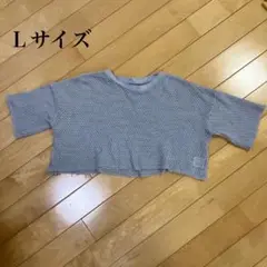 メッシュ　ニットTシャツ