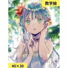 数字絵　ペイントバイナンバー　素敵な女の子　40×30
