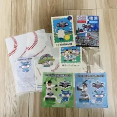 マイナビ オールスターゲーム 2025 配布物 ポストカード