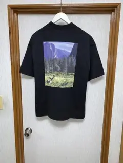 M 新品 25ss THE NORTH FACE ショートスリーブヨセミテシーナ