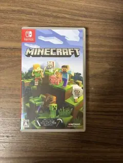 Minecraft Nintendo Switch