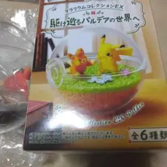 ポケモン テラリウムコレクションEX 2個セット（撮影、検品のため開封未使用）