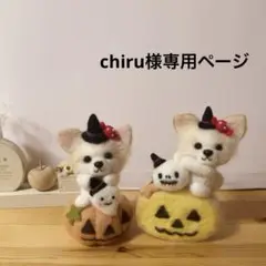 専用ページ