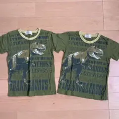 恐竜Tシャツ　トップス110 2枚
