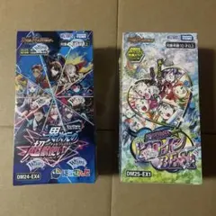 デュエルマスターズ　ヒロインベスト　異次元の超獣使い　未開封各1BOX