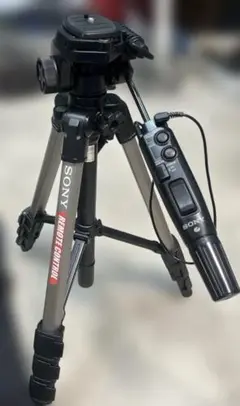 Item thumbnail for item e930da01-eced-4605-a393-ad9be7aff627