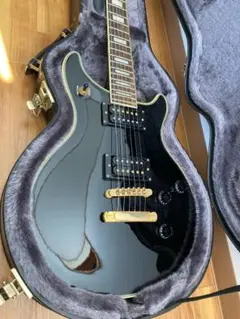 最終価格【美品ワンオーナー】Epiphone Tak DC Custom 楽器・機材