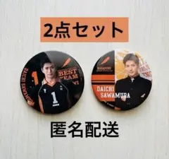 演劇 ハイキュー!! “最強の場所” 缶バッジ 澤村大地 (田中啓太) ハイステ