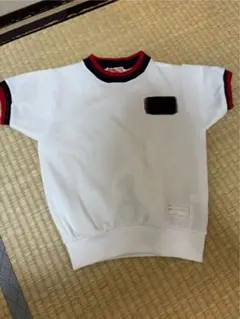 立花 武庫 愛の園幼稚園 体操服 セット（120、110）