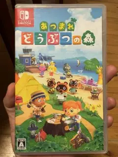 あつまれ どうぶつの森 Nintendo Switch