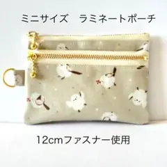 ラミネートのミニ・ダブルファスナーポーチ