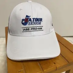 Item thumbnail for item 01ebacc8-26ff-408e-846c-12fd9f84e1b8