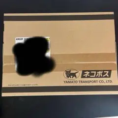 青眼の白龍 ラッシュレア SPECIAL RED Ver. 韓国 希少 PSA5鑑定済〕青眼の白龍【ラッシュレア SPECIAL RED Ver.】{RD