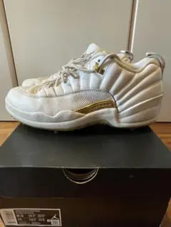 Jordan 12 GOLF 27.5cm