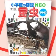 [新版]　小学館の図鑑NEO　昆虫