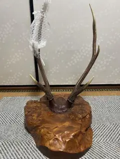 鹿の角 刀掛けオブジェ 約30cm x 20cm