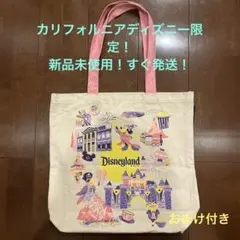 ラス1 未使用　アナハイムディズニー　スタバ限定エコバッグ ラス1 未使用 アナハイムディズニー スタバ限定エコバッグ