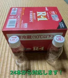 【R-1空ボトル】24本〜最大120本✨工作・自由研究に！