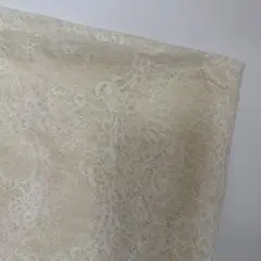 Item thumbnail for item 2dce923c-c401-4554-97f1-4f5677d011d9