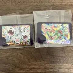 ポケモンフレンダ2点セット