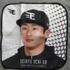 内星龍　応援タオル 69