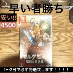 ゼルダ無双 厄災の黙示録 Nintendo Switch