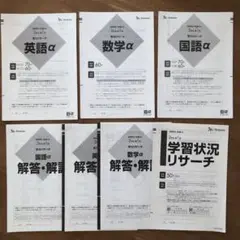 ベネッセ スタディーサポート