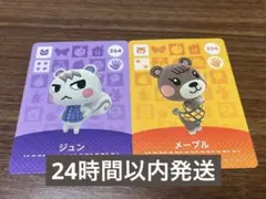 あつ森amiiboカード3弾 ジュン メープル含む24枚