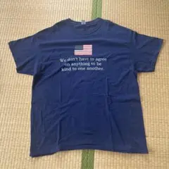 ⭐️GILDAN メッセージTシャツ アメリカ国旗　usa 在原みゆ紀　90s