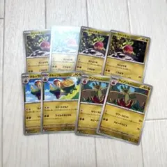 ＊カジッチュ４枚 ＊タルップル２枚 ＊アップリュー２枚