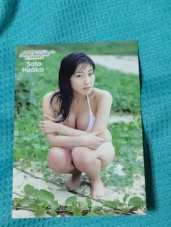 佐藤寛子 プレミアムカード 2006年