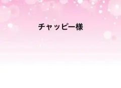 感謝価格　SALE 猫柄　巾着　コットンこばやし　人気　ハンドメイド