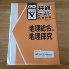 2025 共通テスト Vパック 地理問題集
