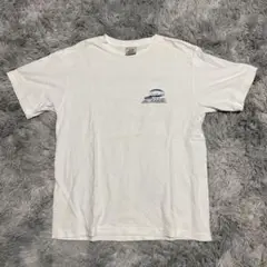 piko tシャツ サーフブランド シングルステッチ 90s